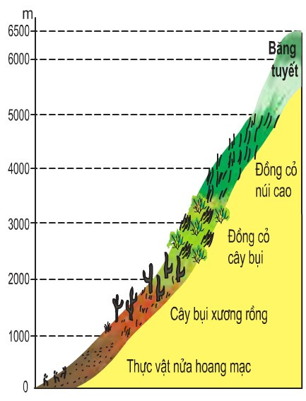 Lý thuyết Địa lí 10 Bài 18: Quy luật địa đới và quy luật phi địa đới - Kết nối tri thức  (ảnh 1)