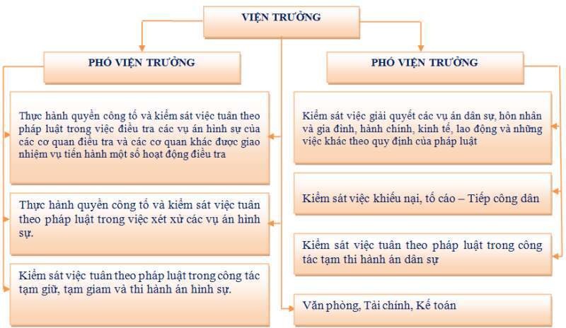 Pháp luật 10 Bài 15: Tòa án nhân dân và Viện kiểm sát nhân dân | Chân trời sáng tạo (ảnh 14)