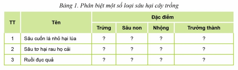 Công nghệ 10 Ôn tập chủ đề 5: Phòng trừ sâu, bệnh hại cây trồng | Cánh diều (ảnh 2)