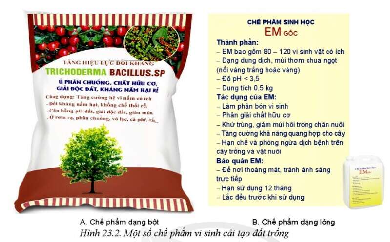 Công nghệ 10 Bài 23: Công nghệ vi sinh trong bảo vệ môi trường và xử lí chất thải trồng trọt | Cánh diều (ảnh 2)