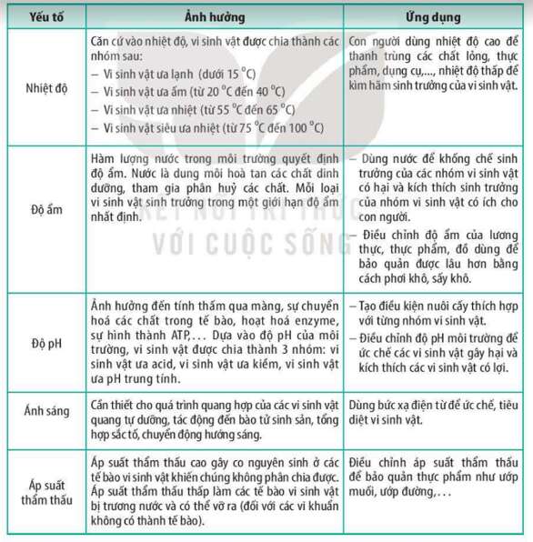 Lý thuyết Sinh học 10 Bài 21 (Kết nối tri thức): Trao đổi chất, sinh trưởng và sinh sản ở vi sinh vật (ảnh 11)