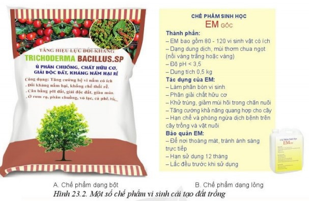 Lý thuyết Công nghệ 10 Bài 23: Công nghệ vi sinh trong bảo vệ môi trường và xử lí chất thải trồng trọt - Cánh diều  (ảnh 1)