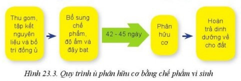 Lý thuyết Công nghệ 10 Bài 23: Công nghệ vi sinh trong bảo vệ môi trường và xử lí chất thải trồng trọt - Cánh diều  (ảnh 1)