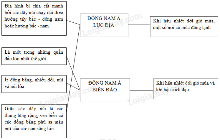 SBT Địa lí 11 Bài 11 Tiết 1 Tự nhiên dân cư và xã hội | Giải SBT Địa lí lớp 11 (ảnh 3)