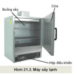 Lý thuyết Công Nghệ 10 Bài 21: Chế biến sản phẩm trồng trọt - Kết nối tri thức (ảnh 1)