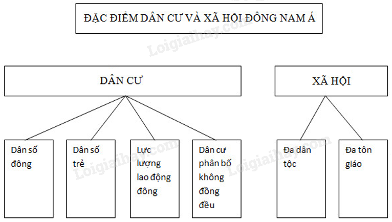 SBT Địa lí 11 Bài 11 Tiết 1 Tự nhiên dân cư và xã hội | Giải SBT Địa lí lớp 11 (ảnh 7)