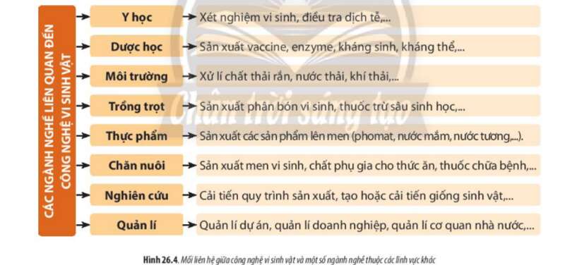 Lý thuyết Sinh học 10 Bài 26 (Chân trời sáng tạo): Công nghệ vi sinh vật (ảnh 7)