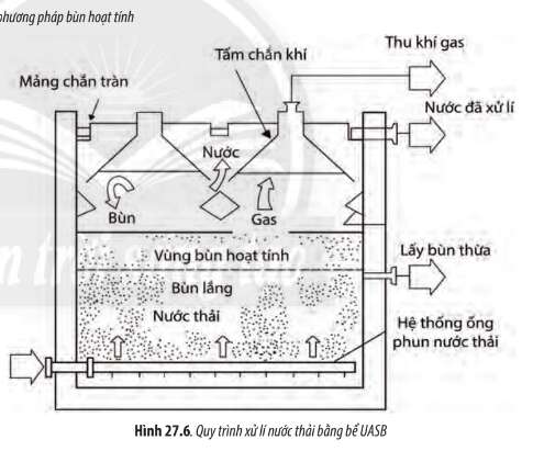 Sinh học 10 Bài 27: Ứng dụng vi sinh vật trong thực tiễn | Giải Sinh 10 Chân trời sáng tạo (ảnh 4)