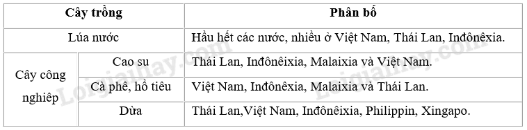 SBT Địa lí 11 Bài 11 Tiết 2: Kinh tế | Giải SBT Địa lí lớp 11 (ảnh 5)