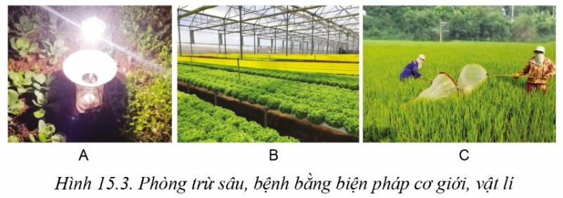 Công nghệ 10 Bài 15: Biện pháp phòng trừ sâu, bệnh hại cây trồng | Cánh diều (ảnh 4)