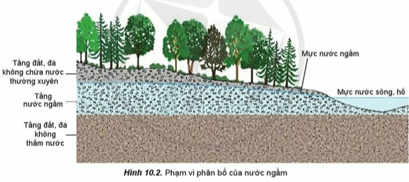 Địa Lí 10 Bài 10: Thuỷ quyển. Nước trên lục địa | Cánh diều (ảnh 3)