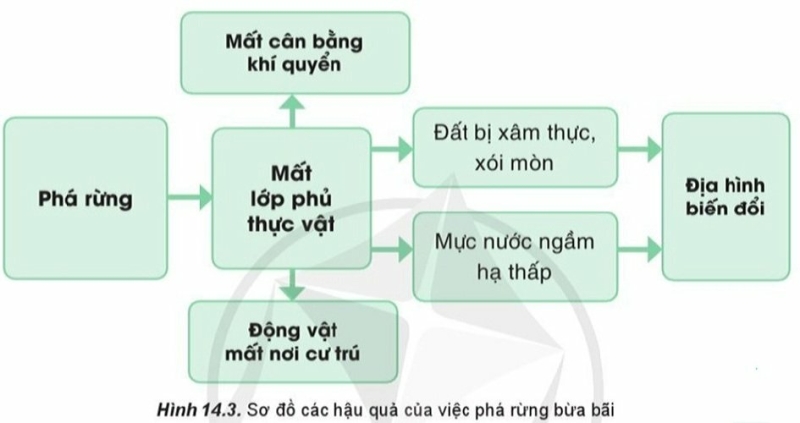 Địa Lí 10 Bài 14: Vỏ địa lí. Quy luật thống nhất và hoàn chỉnh | Cánh diều (ảnh 3)