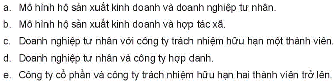 Kinh tế 10 Bài 7: Sản xuất kinh doanh và các mô hình sản xuất kinh doanh | Kết nối tri thức (ảnh 10)