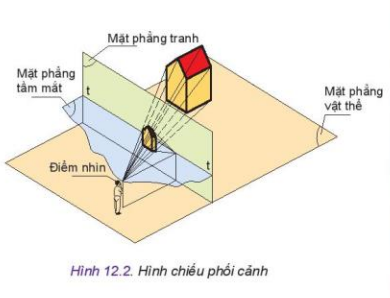 Lý thuyết Công Nghệ 10 Bài 12: Hình chiếu phối cảnh - Kết nối tri thức (ảnh 1)