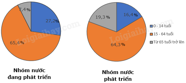 Địa Lí 10 Bài 22: Thực hành phân tích tháp dân số, vẽ biểu đồ cơ cấu dân số theo nhóm tuổi | Chân trời sáng tạo (ảnh 4)