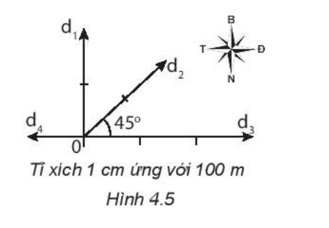  (ảnh 1)