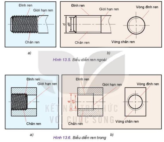 Lý thuyết Công Nghệ 10 Bài 13: Biểu diễn quy ước ren - Kết nối tri thức (ảnh 1)