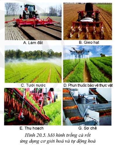 Công nghệ 10 Bài 20: Giới thiệu về trồng trọt công nghệ cao | Cánh diều (ảnh 7)