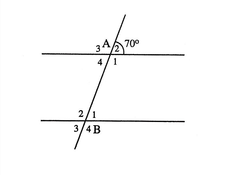 TOP 20 câu Trắc nghiệm Bài ôn tập cuối chương 3- Toán 7 Kết nối tri thức (ảnh 1)