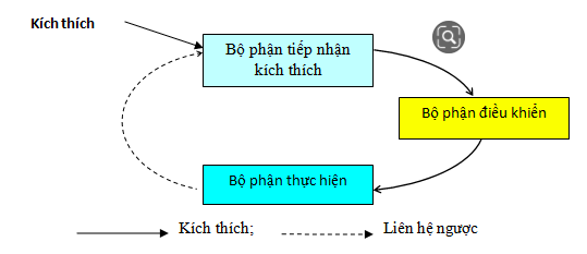 Giải Sinh học 11 Bài 2: Khí hậu châu Á (ảnh 3)