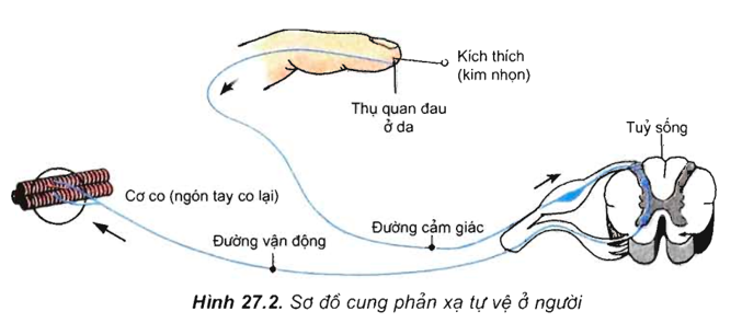 Giải Sinh học 11 Bài 2: Khí hậu châu Á (ảnh 9)