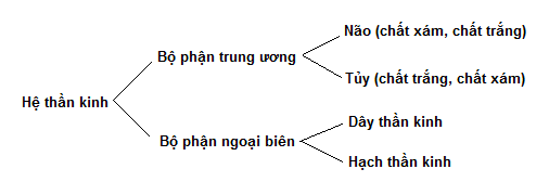 Giải Sinh học 11 Bài 2: Khí hậu châu Á (ảnh 4)