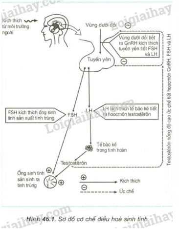 Giải Sinh học 11 (ảnh 1)