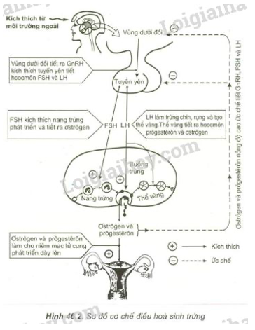 Giải Sinh học 11 (ảnh 2)