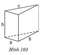 Quan sát lăng trụ đứng tam giác (ảnh 1)