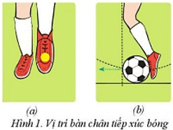 Vận dụng kĩ thuật dẫn bóng và dừng bóng bằng mu giữa bàn chân