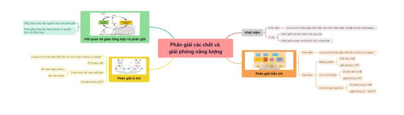 Lý thuyết Sinh học 10 Bài 16 (Chân trời sáng tạo): Phân giải các chất và giải phóng năng lượng (ảnh 8)