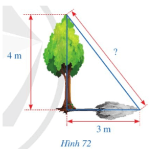 Bài 5 trang 120 Toán 8 Tập 1 Cánh diều | Giải Toán 8