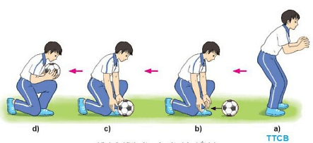 Vận dụng các kĩ thuật bắt bóng và trò chơi đã học để luyện tập, vui chơi hàng ngày