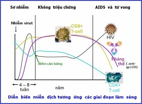 Sinh học 10 Bài 29: Virus | Giải Sinh 10 Chân trời sáng tạo (ảnh 8)