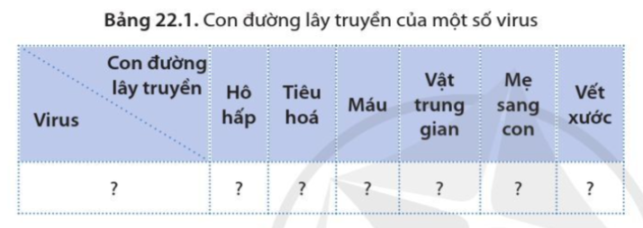 Sinh học 10 Bài 22: Phương thức lây truyền, cách phòng chống và ứng dụng của virus | Giải Sinh 10 Cánh diều (ảnh 4)