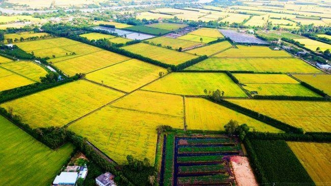 Giáo án Nội lực và ngoại lực (Kết nối tri thức) 2023| Địa lí 10 (ảnh 1)