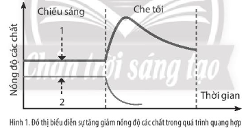 Sách bài tập Sinh học 10 (Chân trời sáng tạo) Ôn tập chương 3 (ảnh 1)