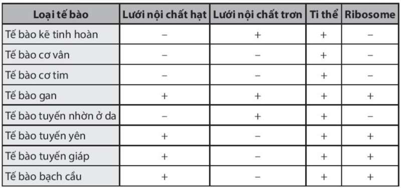 Sách bài tập Sinh học 10 Bài 9 (Chân trời sáng tạo): Tế bào nhân thực (ảnh 9)