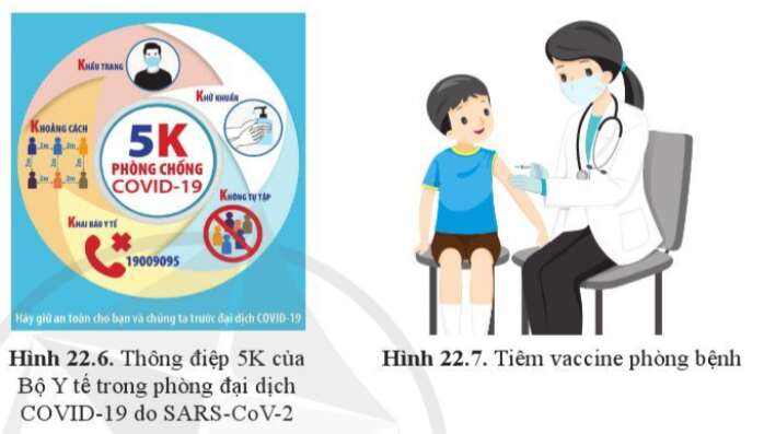Sinh học 10 Bài 22: Phương thức lây truyền, cách phòng chống và ứng dụng của virus | Giải Sinh 10 Cánh diều (ảnh 6)