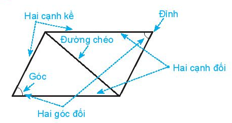 Hình chữ nhật, hình thoi, hình bình hành, hình thang cân | Lý thuyết Toán lớp 6 chi tiết Kết nối tri thức