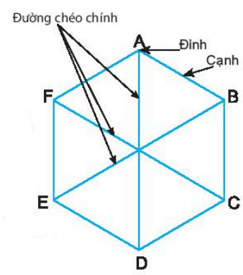 Lý thuyết tổng hợp Chương 3: Hình học trực quan và hình phẳng trong thực tiễn lớp 6 | Chân trời sáng tạo (ảnh 1)