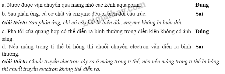 Sinh học 10 Ôn tập chương 3 | Giải Sinh 10 Chân trời sáng tạo (ảnh 2)