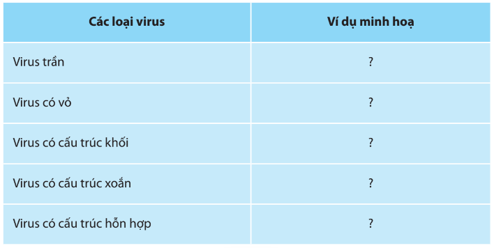 Sinh học 10 Ôn tập chương 6 | Giải Sinh 10 Chân trời sáng tạo (ảnh 1)