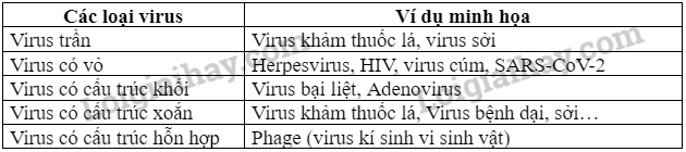 Sinh học 10 Ôn tập chương 6 | Giải Sinh 10 Chân trời sáng tạo (ảnh 2)