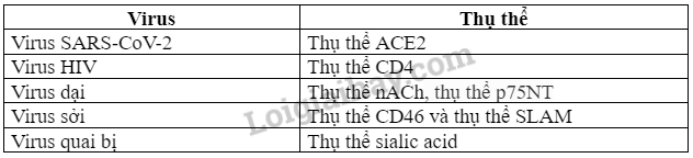 Sinh học 10 Ôn tập chương 6 | Giải Sinh 10 Chân trời sáng tạo (ảnh 4)