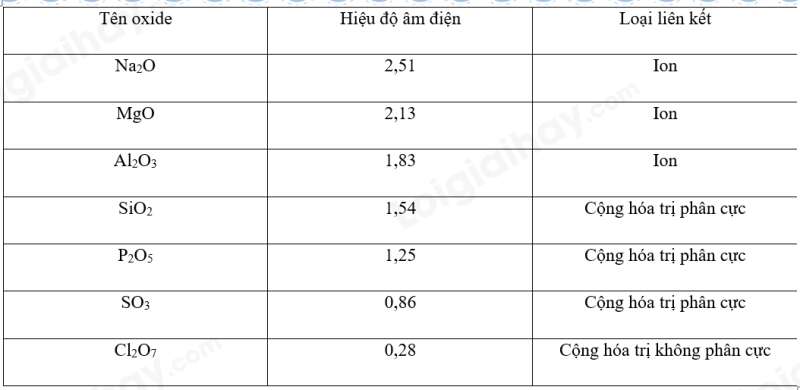  (ảnh 2)