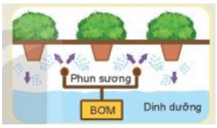 Trắc nghiệm Công nghệ 10 Kết nối tri thức Bài 1 (có đáp án): Công nghệ và đời sống | Thiết kế và công nghệ 10 (ảnh 3)