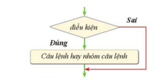 Câu lệnh rẽ nhánh