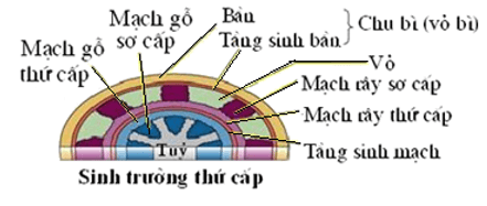 Trắc nghiệm Sinh học 11 Bài 34 có đáp án năm 2021 mới nhất