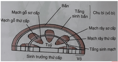 Trắc nghiệm Sinh học 11 Bài 34 có đáp án năm 2021 mới nhất